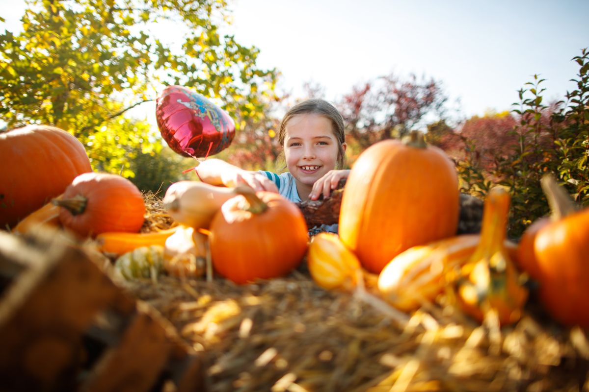Altweibersommer_MF__1_