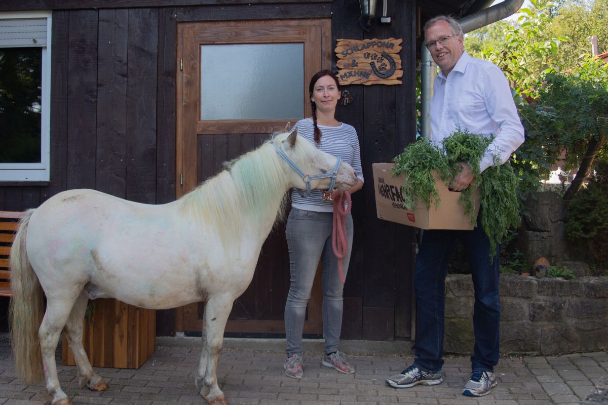 Schlappohr & Mähne: Ein Therapiezentrum mit Vierbeinern für Zweibeiner