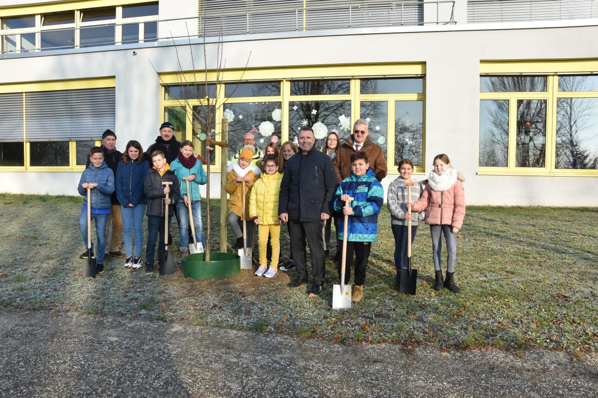 Baumpflanzaktion Wilhelmi-Gymnasium 05.12.2019