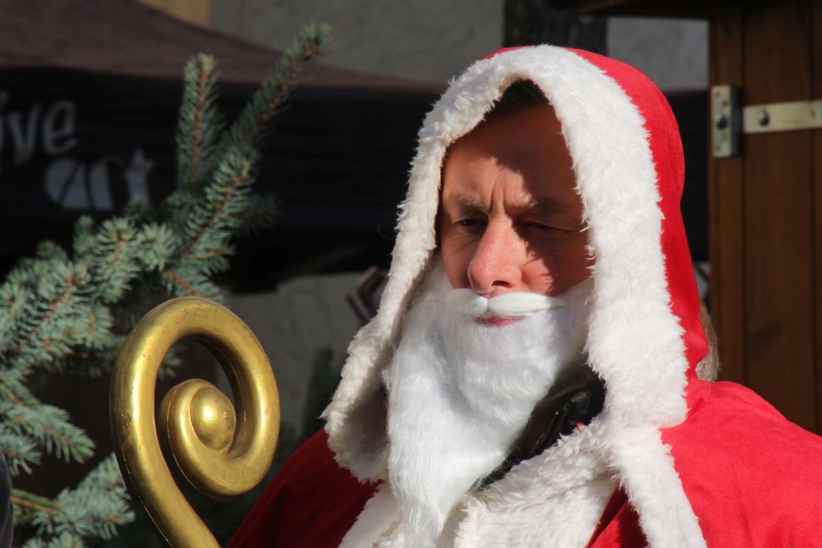 Sinsheimer Weihnachtsmarkt 19 (5)