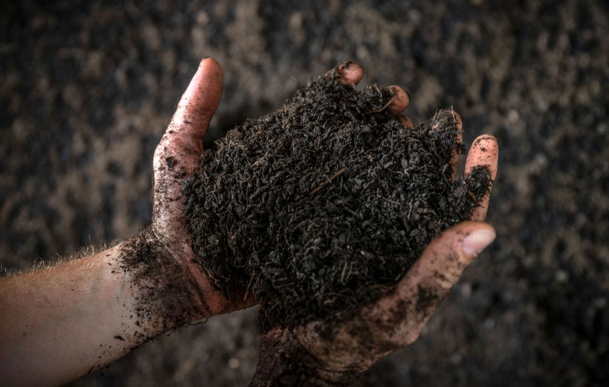 RAL-Gütesiegel für hochwertigen Kompost aus der Sinsheimer AVR Bioabfallvergärungsanlage