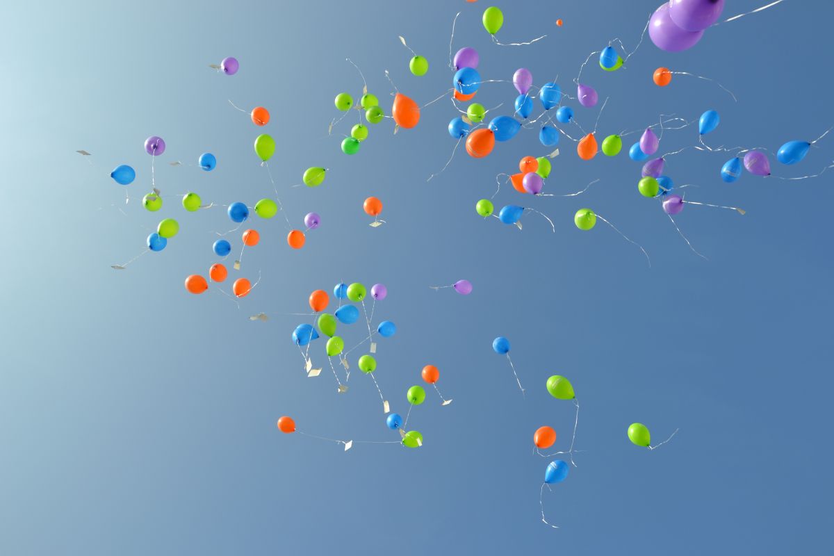 Sinsheim startet in ein buntes Jahr voller Highlights