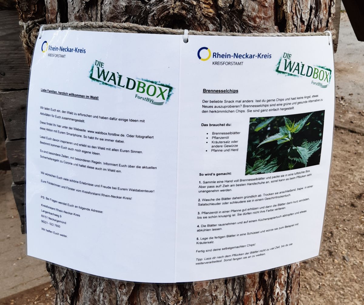 Schilder_Waldpaedagogik