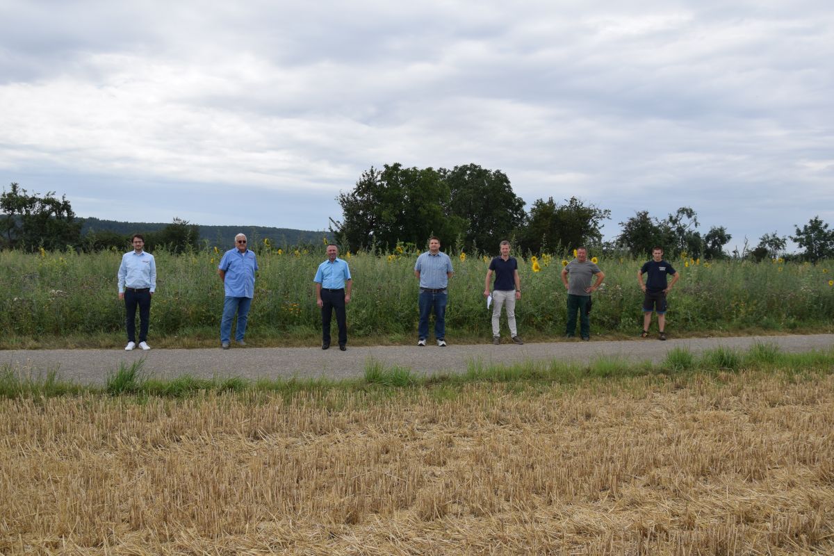 24.07.2020 – Ausgleichsfläche Gebhardt