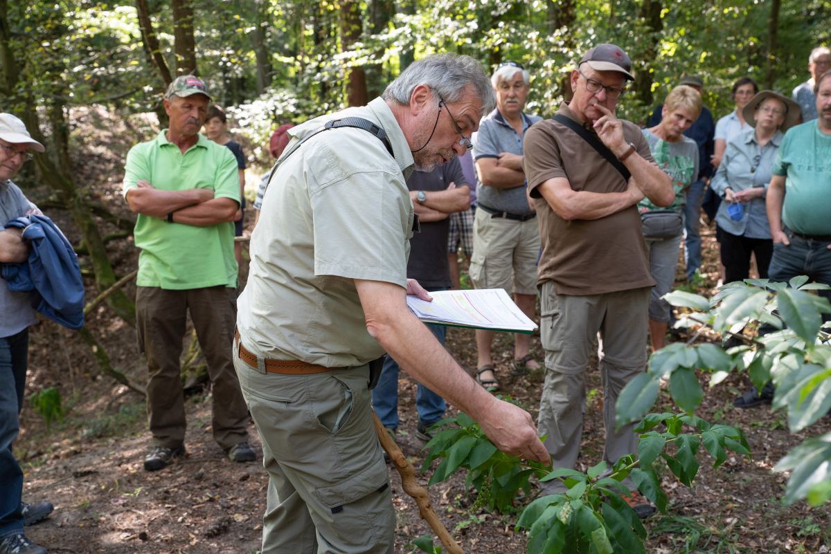 Forstamt_20200919_10