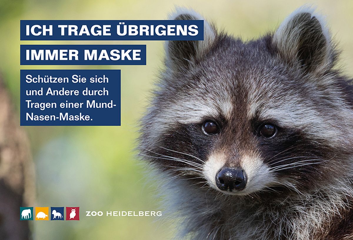 Anpassung der Hygiene- und Verhaltensregeln für Besuche im Zoo Heidelberg
