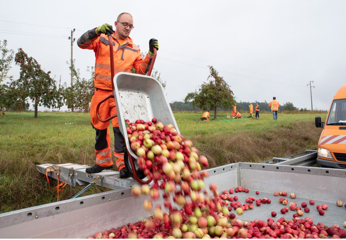 Straßenbau_20200926_40