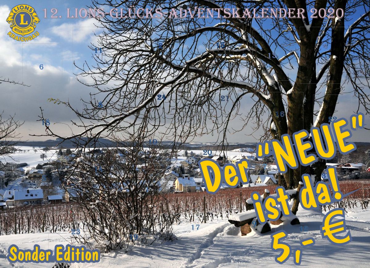 12. Lions-Advents-Kalenders 2020