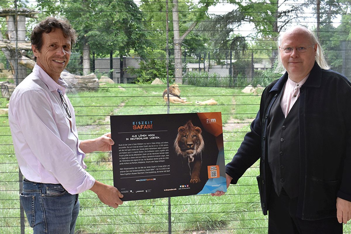 EISZEIT300_Zoo_Loewe_kl