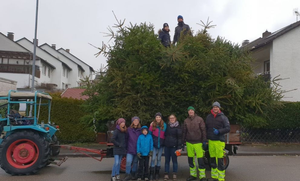 Christbaumsammelaktion der DLRG-Jugend Sinsheim