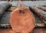 Nadelwertholzsubmission: Kreisforstamt bietet am 19. Februar kostenlose Führung auf dem Submissionsgelände in Eberbach an