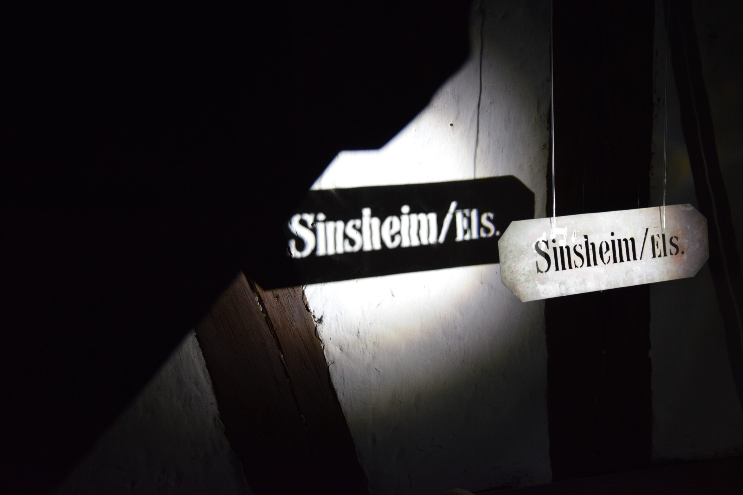 Taschenlampenführung 2022