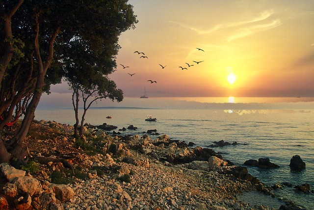Was soll man an der dalmatinischen Küste besuchen?