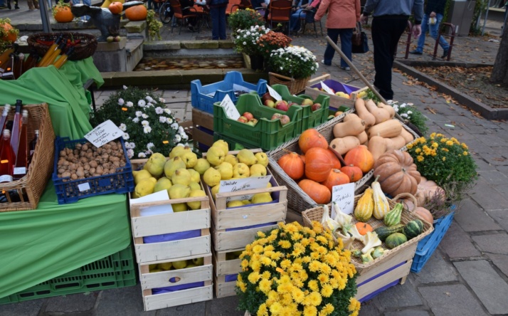 26. Sinsheimer Herbst