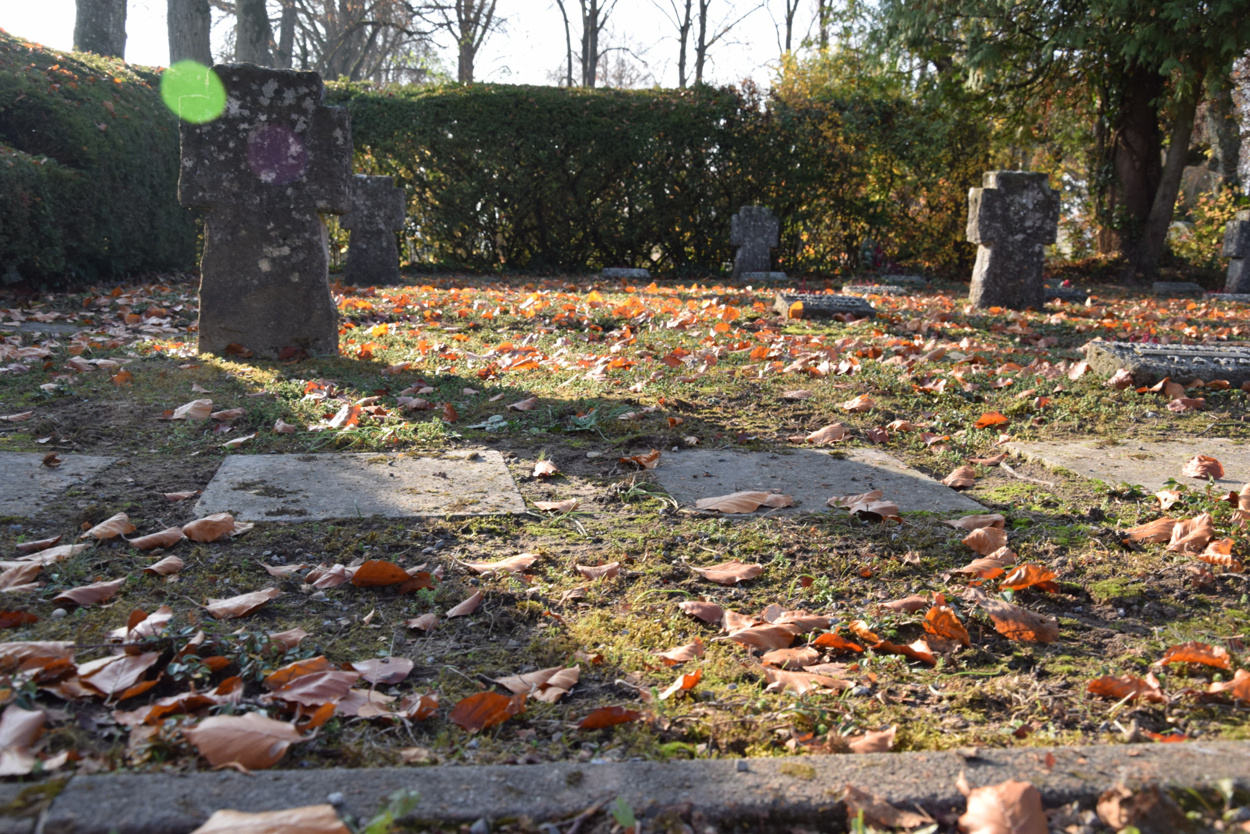 Friedhof_Sinsheim_Gräber_(C) Hontschik_11-2018