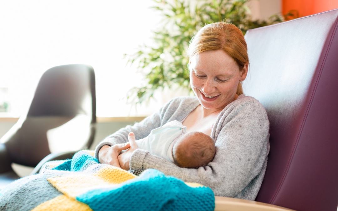 Einblicke in eine Welt, in der Leben beginnt