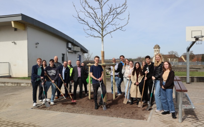 Viel mehr als nur Schatten