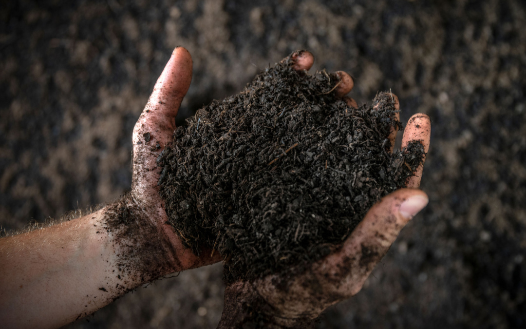 AVR BioTerra GmbH & Co. KG startet Verkauf von hochwertigem Biokompost