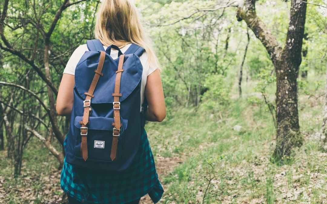 Wandertag der Sinsheimer Erlebnisregion