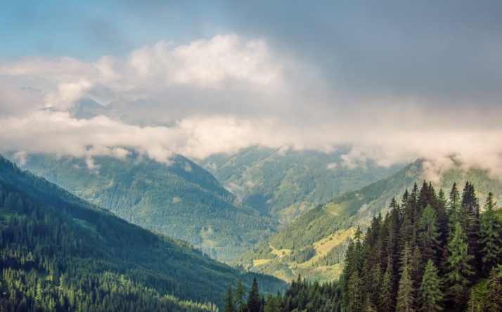 Entdecke die Schönheit der Salzburger Alpen auf dem Almenweg