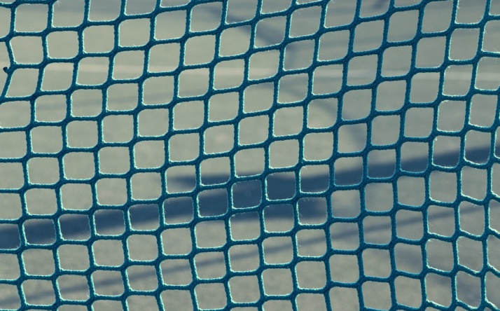 TSV Neckarbischofsheim vor entscheidenden Spielen im Saisonfinale