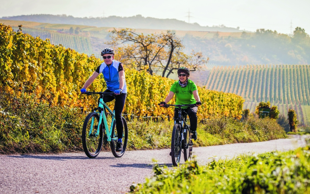 RadGuides Rhein-Neckar: Touren zur Burg Steinsberg, der Kraichgau und leckere Weinproben