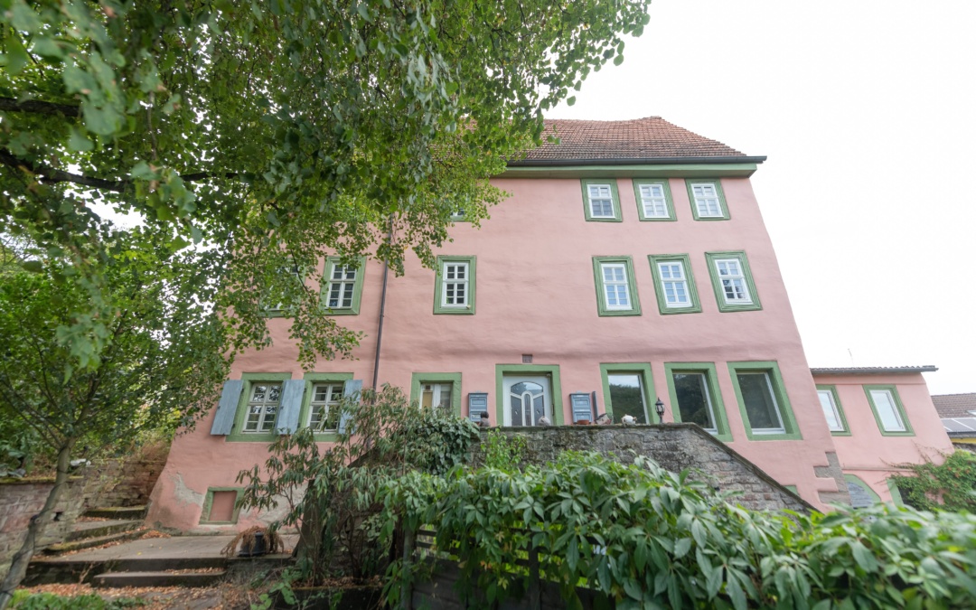 Degenfeld‘sches Schloss und Brunnenweible in Waibstadt