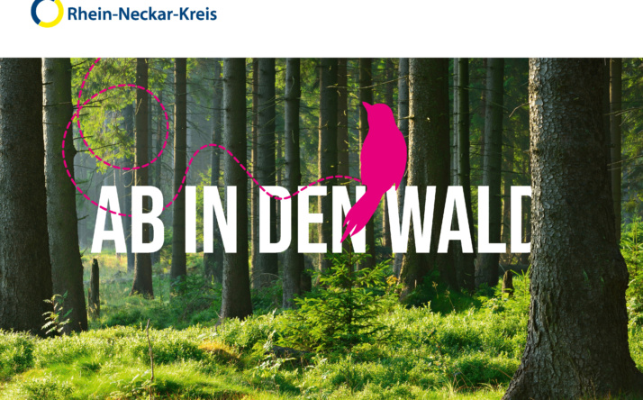 Wald erleben: Kreisforstamt bietet auch im Jahr 2025 wieder Veranstaltungen an