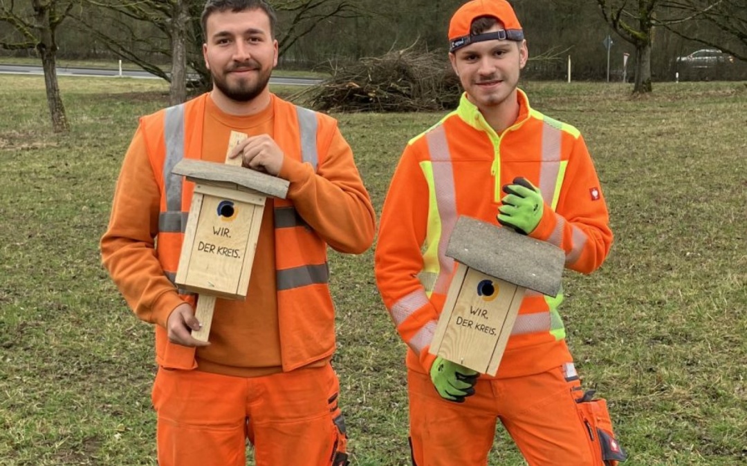 Gemeinsam für den Artenschutz: Azubis installieren 20 Nistkästen für Vögel