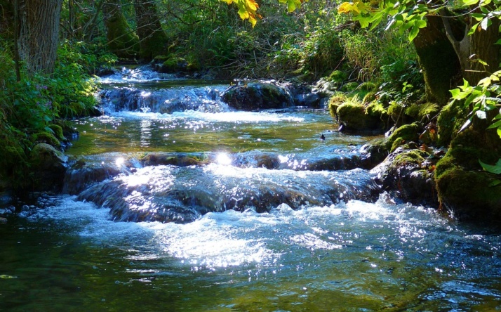 Gewässerausbau der Elsenz in Sinsheim geplant