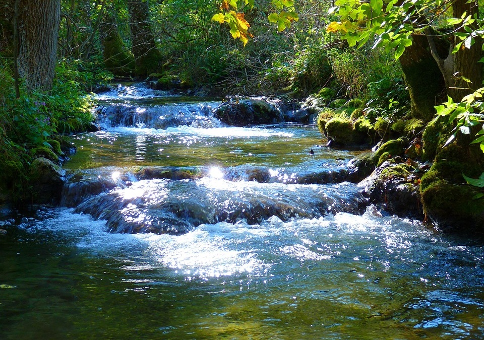Gewässerausbau der Elsenz in Sinsheim geplant