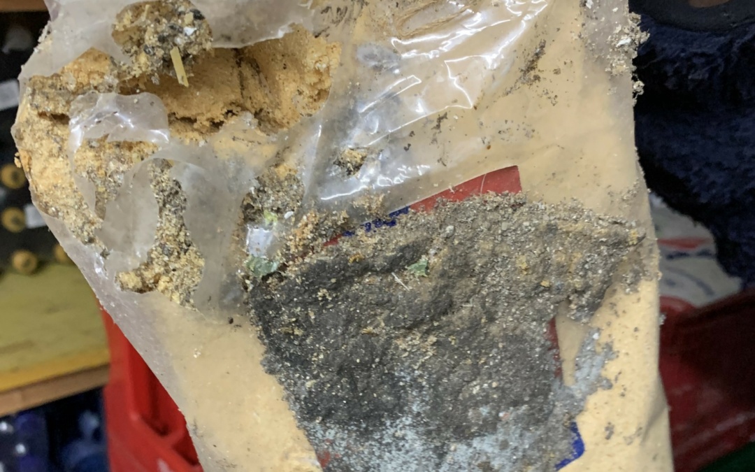 Verdorbene Ware, dreckige Küchen: 20 Betriebsschließungen nach Lebensmittelkontrollen