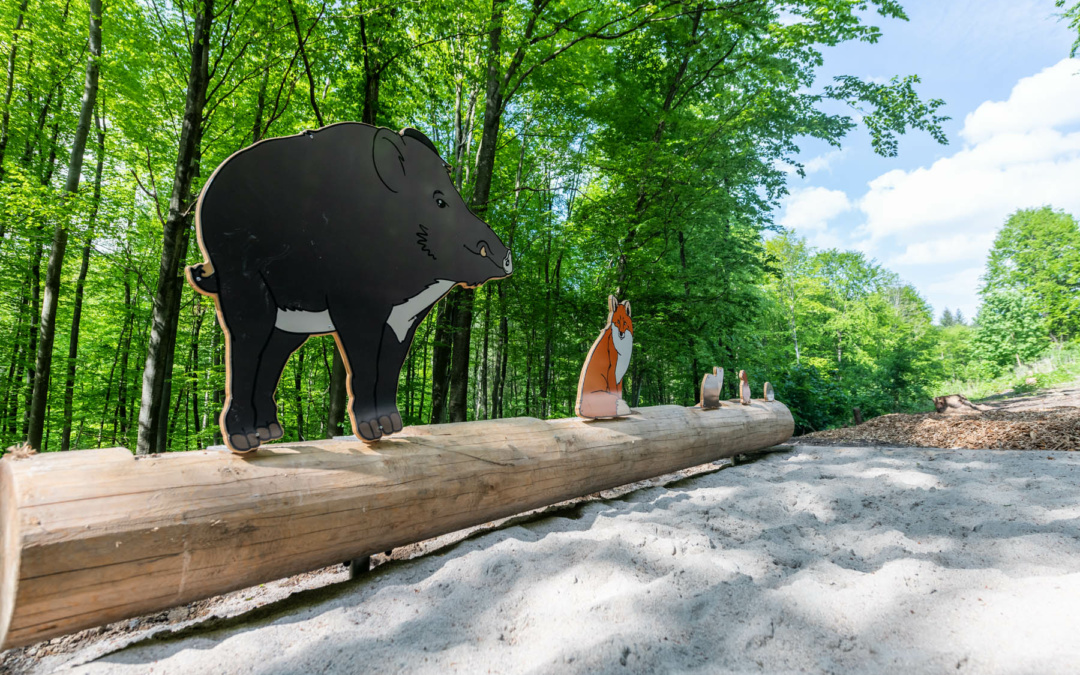 Die Sinsheimer Erlebnisregion: Naturerlebnispfad Angelbachtal