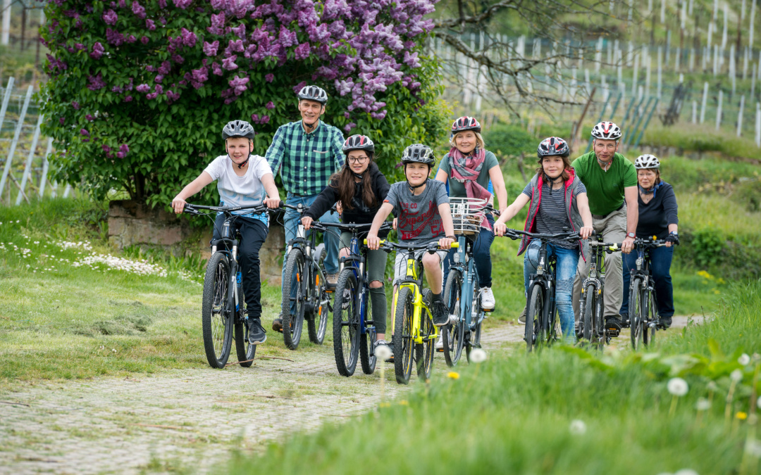 RadGuides Rhein-Neckar: Geführte Radtouren durch Weinheim, den Kraichgau und rund um Sinsheim