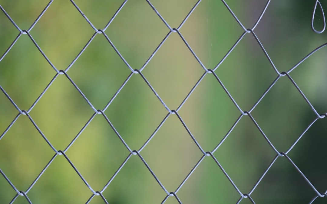 Wie du Kosten sparst und deinen Garten mit einem Doppelstabmattenzaun aufwertest