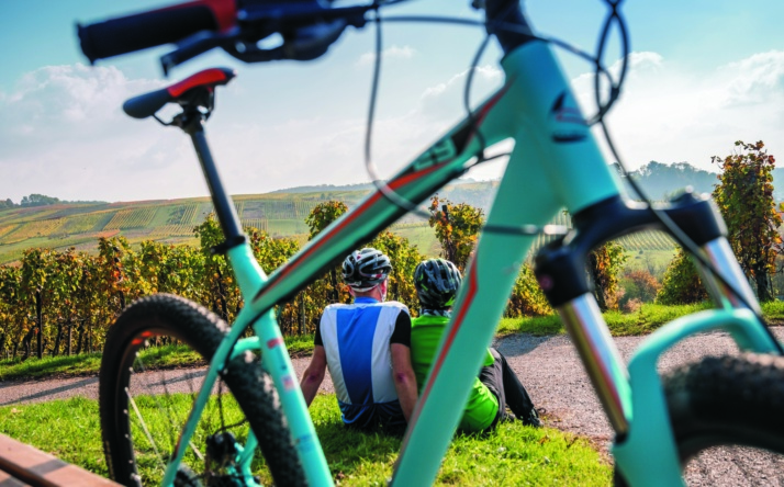RadGuides Rhein-Neckar bieten Juni-Touren mit Wasser- und Weinfokus