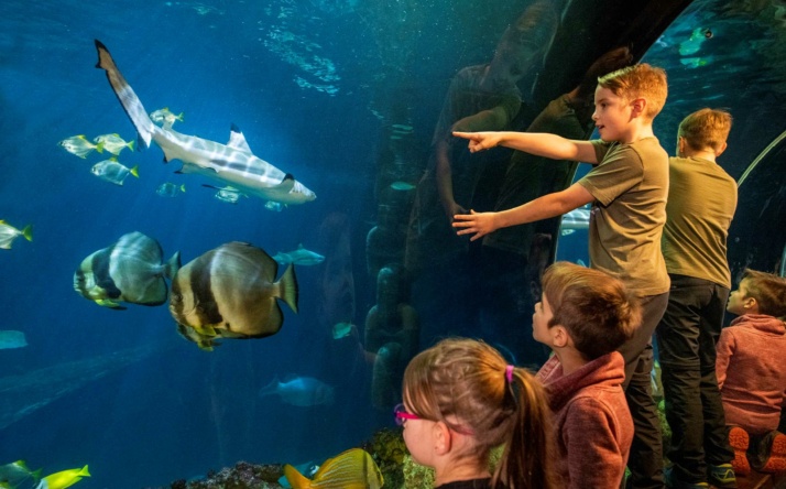 Das SEA LIFE in Speyer präsentiert: Winterspaß mit Snowy