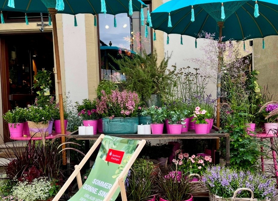 SOMMER.SONNE.SINSE startet mit buntem Programm in den Sommer