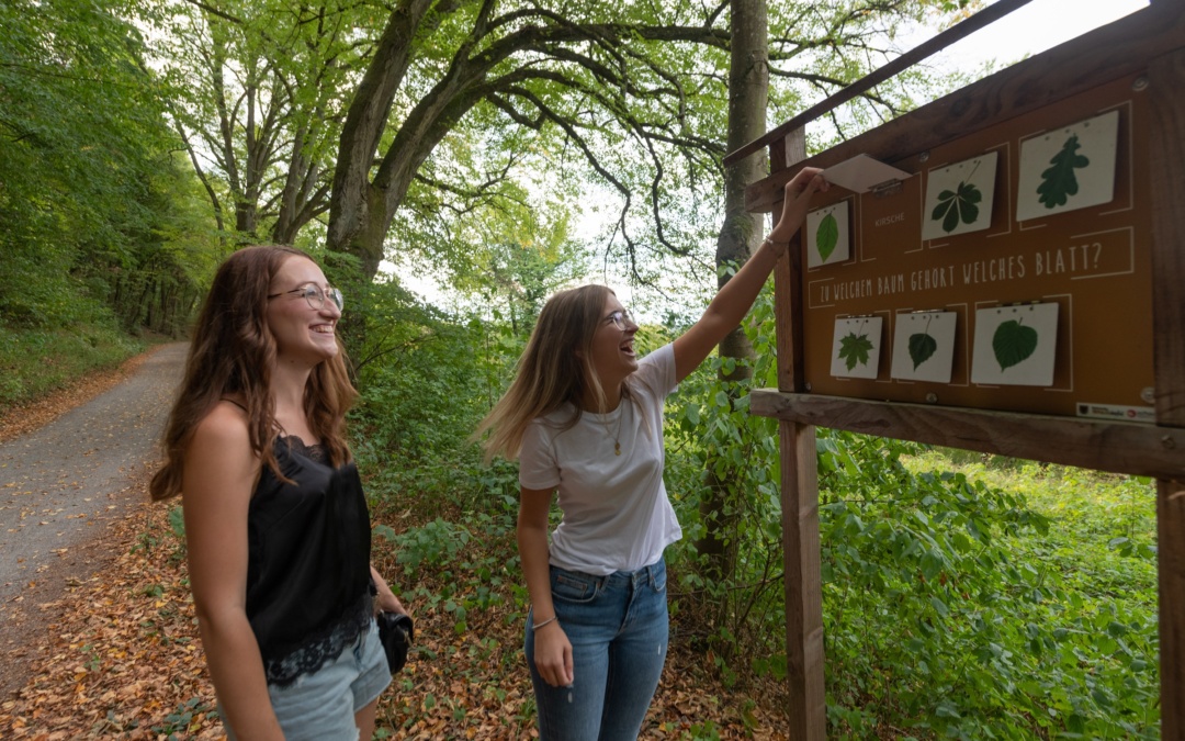 Waibstadt: Drei besondere Ausflugstipps in der Sinsheimer Erlebnisregion