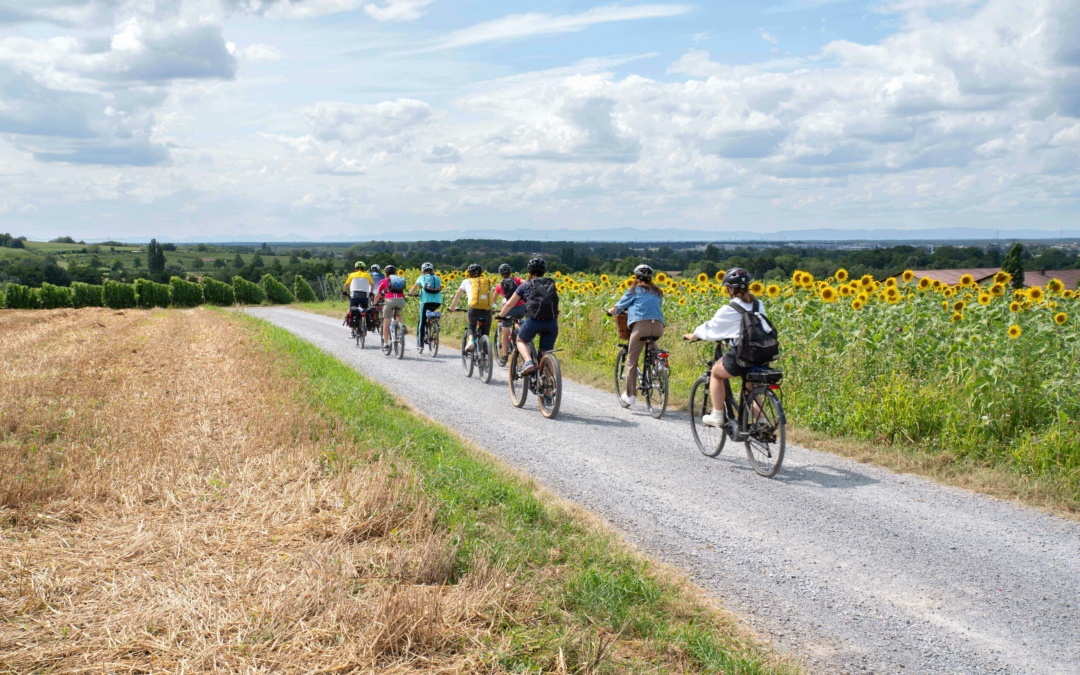 Radtouren zum Ferienende mit den RadGuides
