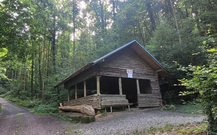 Freizeit- und Spielanlage Am Karlsbrunnen lockt Familien in den Wald