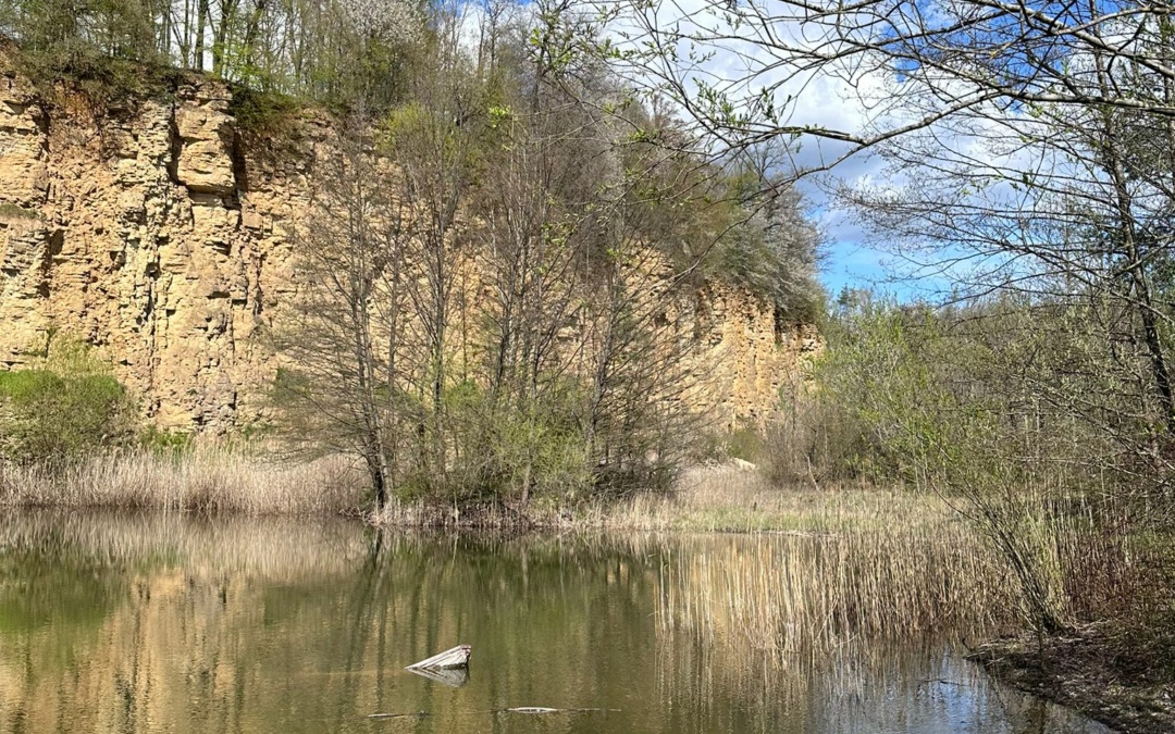Sinsheimer Erlebnisregion: Naturschutzgebiet Kallenberg und Kaiserberg in Eschelbronn