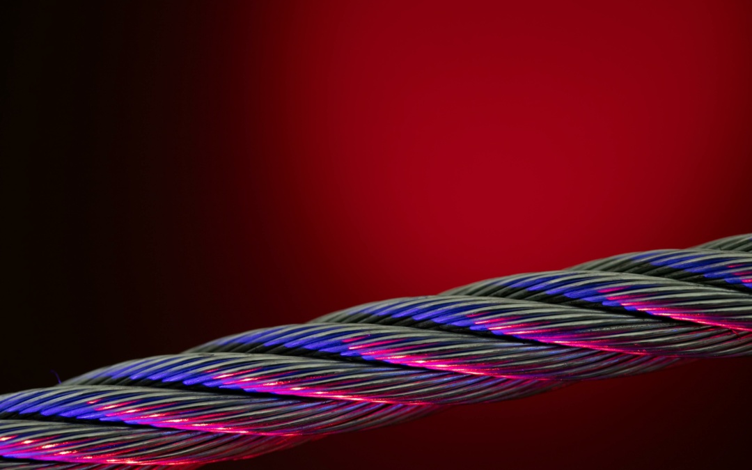 Hightech auf leisen Sohlen – Wie Sinsheim vom digitalen Boom im Südwesten profitiert