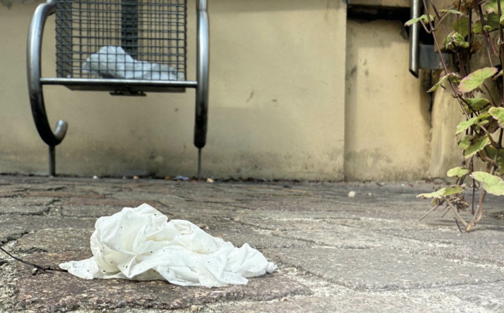 Sauberhaftes Sinsheim