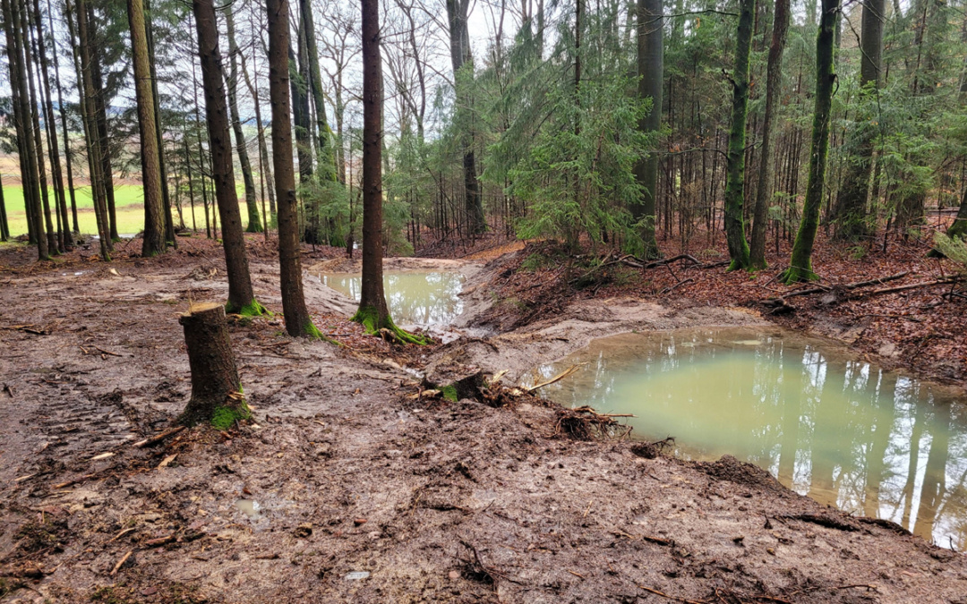 Wasser – nicht genug
