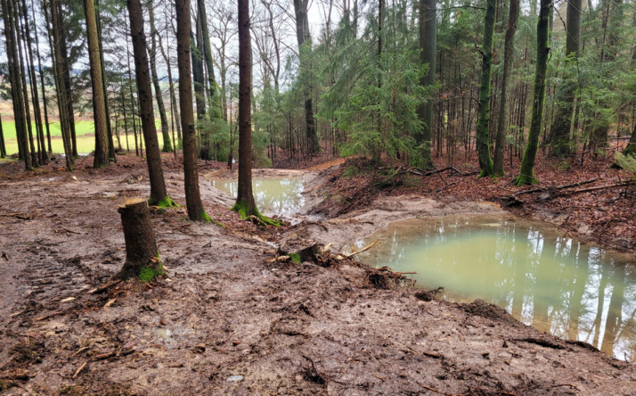 Wasser – nicht genug