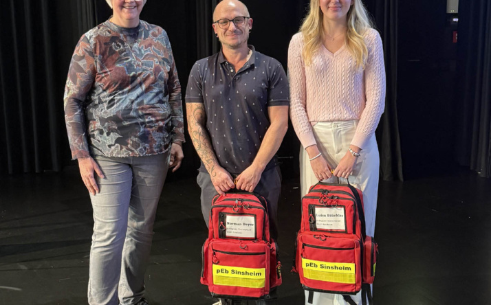 Kollegiale Erstbetreuer bei der Stadt Sinsheim