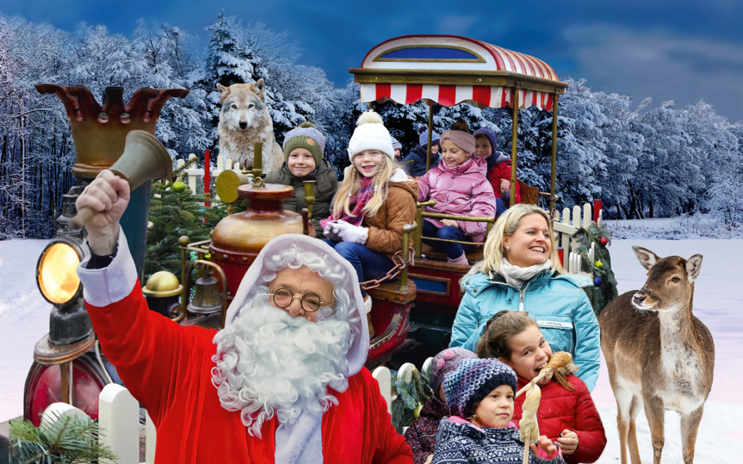 Ausflugstipp zum 4. Advent: Winterzauber und tierische Erlebnisse