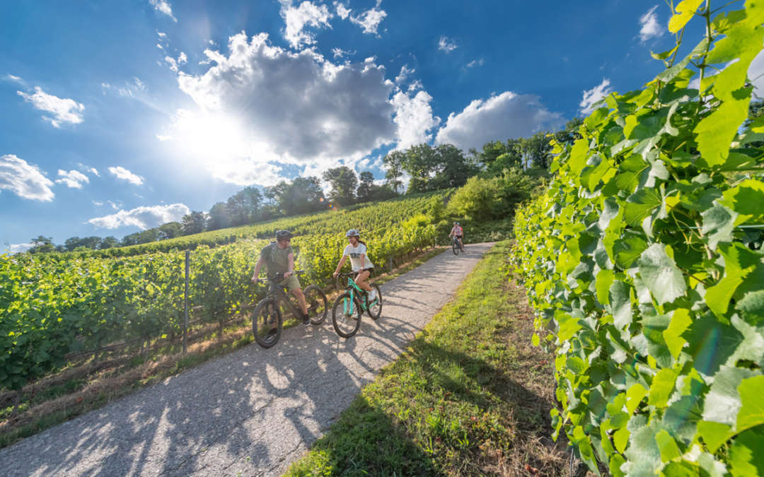 Sinsheimer Erlebnisregion erstmals auf der CMT
