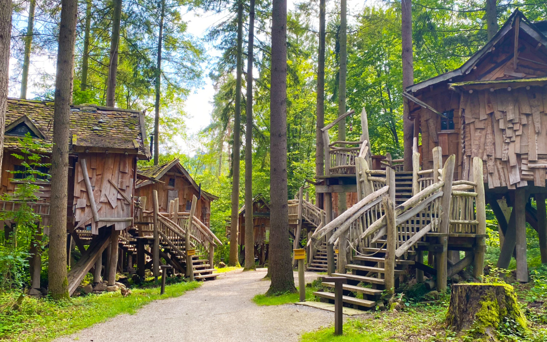 Erfolgreiche Bewerbertage im Erlebnispark